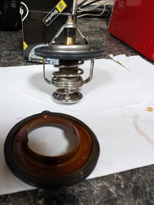 Thermostat Spring Down pos