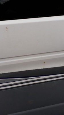IMG_20200930_173520_847.jpg