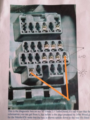 diagnostic box.jpg